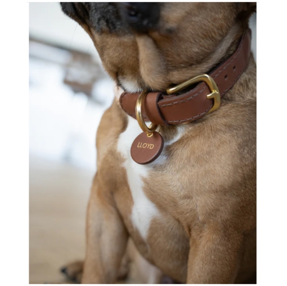 NWT: KNOTTY PETS, BRAIDED CLASSIC, DOG COLLAR, BLK W/BLK LTH & GOLD HARDWARE. - Picture 5 of 16